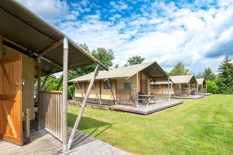 Woodlodge safari tents at Veluwe campsite De Pampel in the Netherlands, set on grassy platforms outdoors.