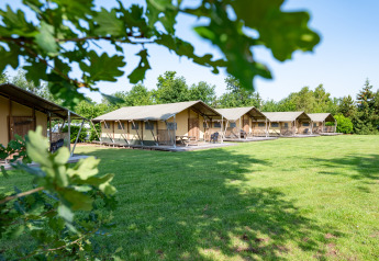 Rangée de tentes safari Woodlodge sur pelouse verte avec arbres en arrière-plan, vue à travers les feuilles.