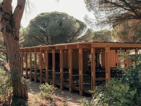 Wooden pavilion at Wecamp Cádiz holiday park in Andalusia, Spain, surrounded by lush pine trees and nature.