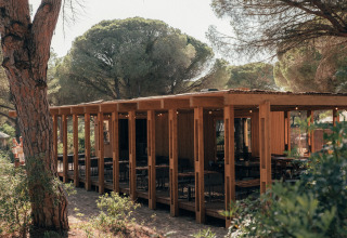 Wooden pavilion at Wecamp Cádiz holiday park in Andalusia, Spain, surrounded by lush pine trees and nature.