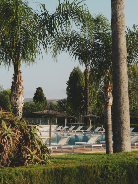 Piscina al aire libre con tumbonas, palmeras y sombrillas en el parque vacacional Wecamp Jávea en Valencia, España.