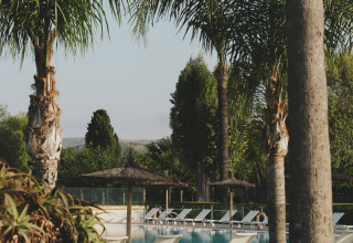 Udendørs swimmingpool med liggestole, palmer og parasoller på Wecamp Jávea feriepark i Valencia, Spanien.