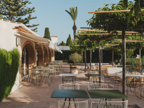 Buitenterras met moderne tafels en stoelen onder bomen bij Wecamp Jávea vakantiepark in Valencia, Spanje.