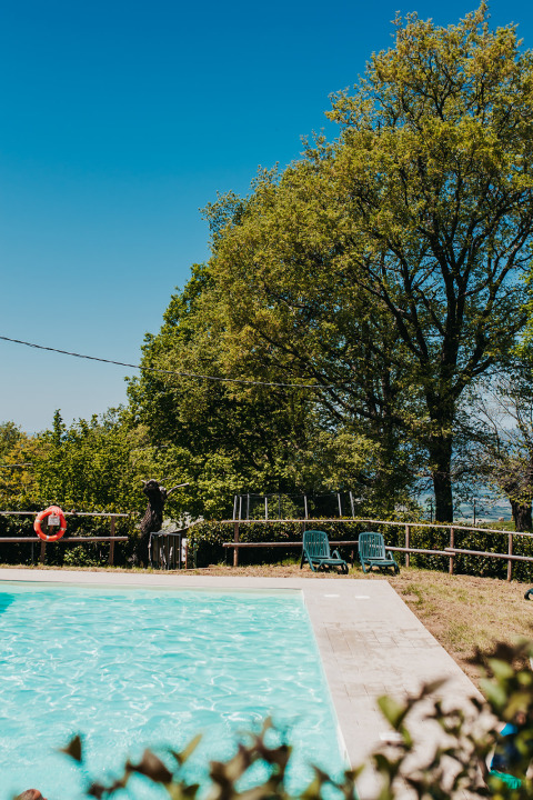 Outdoor swimming pool at Campsite ‘Lucherino’ in Tuscany, Italy, with trees, chairs, and a clear blue sky.