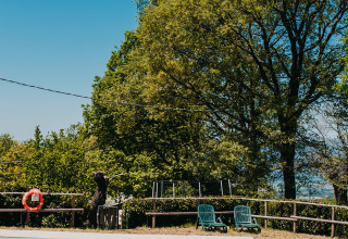 Outdoor swimming pool at Campsite ‘Lucherino’ in Tuscany, Italy, with trees, chairs, and a clear blue sky.