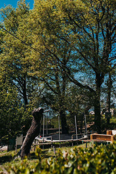 Trampoline et arbres au Camping Lucherino, un parc de vacances en Toscane, Italie, sous un ciel ensoleillé.