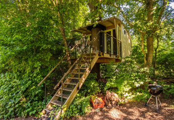 Treehouse with staircase nestled among green trees at Buytenplaets Suydersee, Netherlands, for family stays.