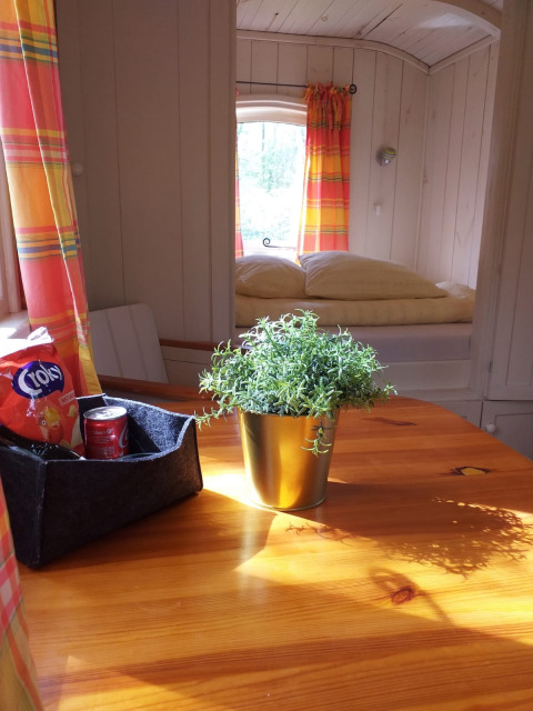 Lumière du soleil dans une tiny house sur une table en bois avec plante, snacks et lit à l’arrière-plan.