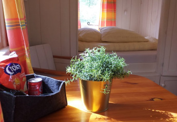 La luz entra en una tiny house, mostrando una mesa de madera con planta, aperitivos y una cama al fondo.