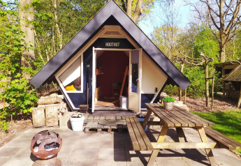 Tiny house named Hiker's Cabin with picnic table and firepit at Buytenplaets Suydersee in the Netherlands.