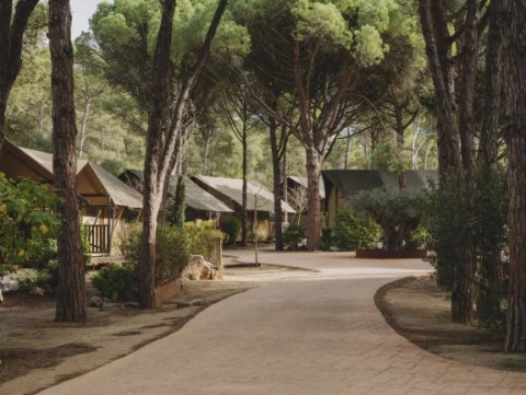 Pathway lined with trees and tents at Wecamp L'Escala Punta Mila, a holiday park in Catalonia, Spain.
