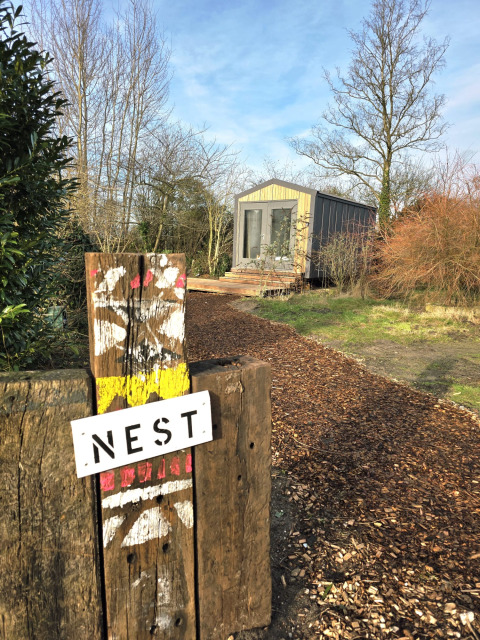 Sentier menant à une cabane nommée 'Slowcabin' Nest à Zomerlicht, entourée d’arbres aux Pays-Bas.