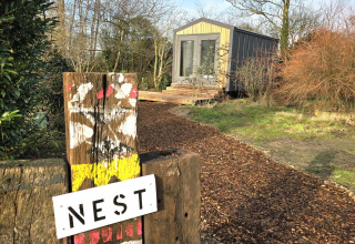 Sentier menant à une cabane nommée 'Slowcabin' Nest à Zomerlicht, entourée d’arbres aux Pays-Bas.