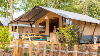 Tienda safari de lujo con baño privado en Camping De Betteld, Países Bajos, rodeada de naturaleza.