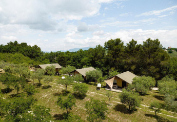 Tende safari al Camping Pian Di Boccio in Italia, immerse nel verde tra alberi e colline sotto un cielo nuvoloso.