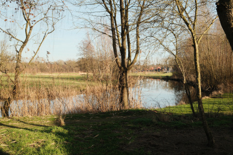 Udsigt fra River Mirrorlodge i Holiday park Mölke, Holland, med flod, træer og grønne marker.