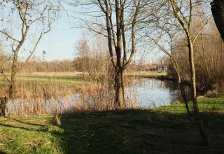 Uitzicht vanaf River Mirrorlodge in Holiday park Mölke, Nederland, met rivier, bomen en groene weiden.