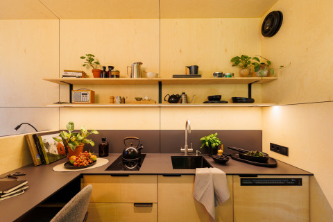 Gezellige compacte keuken in River Mirrorlodge, Holiday park Mölke, Nederland, met planten en accessoires.