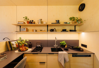 Moderne og kompakt køkkenindretning i River Mirrorlodge i Holiday park Mölke, Holland, med planter og sort bordplade.