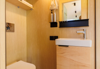 Moderne lille badeværelse med træpaneler, toilet, håndvask og spejl i River Mirrorlodge, Holland.