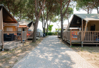 Vialetto lastricato tra tende safari con veranda in legno al Camping Village Cavallino, Italia, tra pini ombrosi.