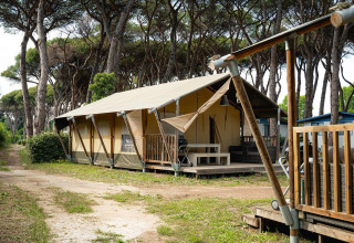 Safaritent 'Villatent Nomad' op Camping Roma Capitol in Italië, omgeven door hoge pijnbomen.