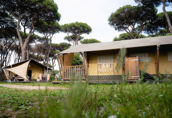 Safari tent Villatent Nomad op Camping Roma Capitol in Italië, met pijnbomen en gras eromheen.