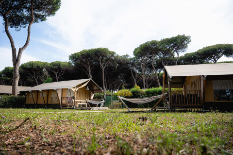 Safari-tent Villatent Nomad bij Camping Roma Capitol in Italië, omgeven door pijnbomen en hangmat.
