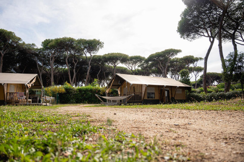 Safari tent Villatent Nomad op Camping Roma Capitol in Italië, omgeven door pijnbomen en natuur.