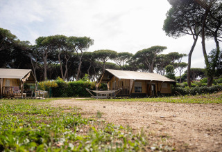 Safaritent Villatent Nomad op Camping Roma Capitol in Italië, omgeven door pijnbomen en groen.