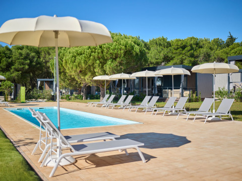 Buitenzwembad met ligstoelen en parasols aan Premium Holiday Home in Aminess Planet Camping Sirena, Kroatië.