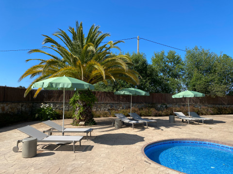 Sommerfoto im Wecamp Cudillero, Asturias, Spanien: Palmen, Pool und Liegestühle mit grünen Sonnenschirmen.