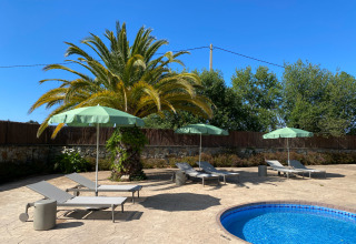 Sommerfoto im Wecamp Cudillero, Asturias, Spanien: Palmen, Pool und Liegestühle mit grünen Sonnenschirmen.