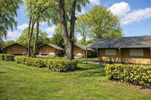 Family-friendly safari tents set in lush greenery, ideal for a relaxing family stay and outdoor adventures.