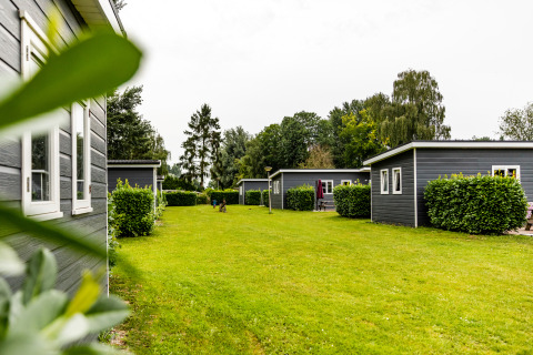 Grote groene grasweide tussen moderne Group Yard Chalets, omringd door hagen en bomen op een bewolkte dag.