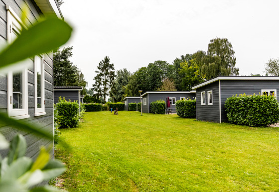 Spacious grassy yard with modern Group Yard Chalets, green hedges, and trees on a cloudy outdoor day.