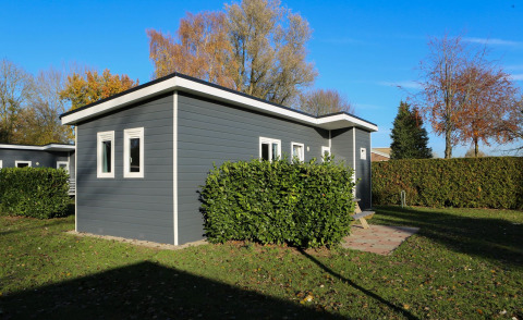 Een modern Group Yard Chalet in De Scherpenhof, Nederland, omringd door hagen en een gazon.