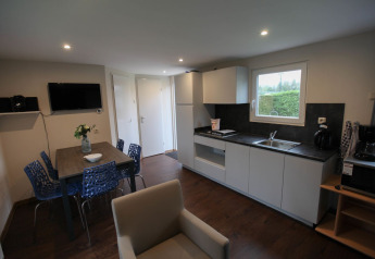 Modern kitchen and dining area in a lodge at Group Yard Chalets, De Scherpenhof, Netherlands, featuring sleek decor.