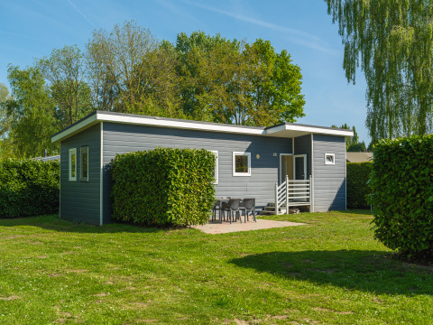 Moderne Group Yard Chalet ved De Scherpenhof, Holland, omgivet af grønne buske og høje træer.