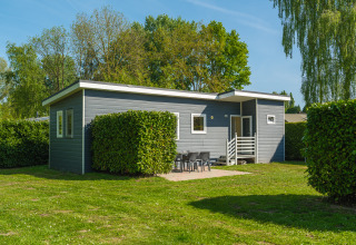 Modern Group Yard Chalet at De Scherpenhof, Netherlands, featuring patio seating and lush green hedges.