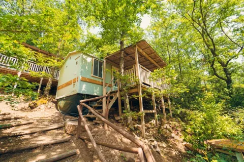 Le Cottage Classic, lodge sur pilotis avec terrasse en bois, niché en pleine forêt verdoyante.
