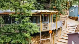 Foto der Cottage Spotty Lodge mitten im Wald, umgeben von Bäumen und kleinen Holzterrassen.