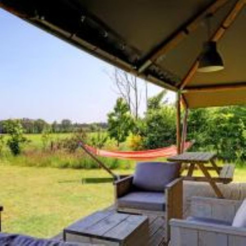Zicht vanuit De Lodge bij Glamping de Bosweide met zithoek, picknicktafel en hangmat in Nederland.