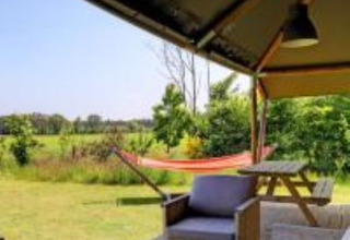 Zicht vanuit De Lodge bij Glamping de Bosweide met zithoek, picknicktafel en hangmat in Nederland.