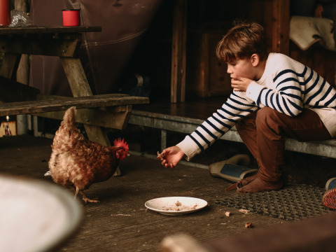 Niño con suéter a rayas alimenta a una gallina con sobras en un parque de vacaciones glamping.