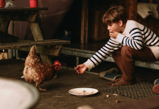 Boy in striped sweater feeding a chicken scraps while sitting at a glamping holiday park.