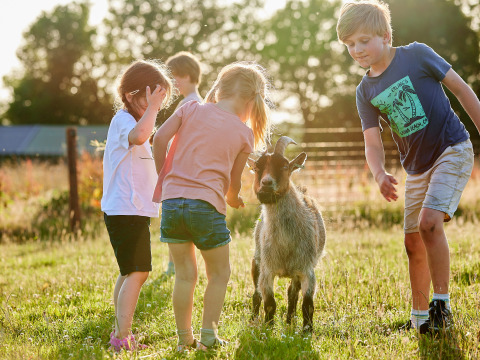 Children interact with a goat in a sunny field at a holiday park offering family-friendly glamping stays.