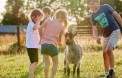 Kinder spielen mit einer Ziege auf einer sonnigen Wiese in einem Ferienpark mit Glamping-Unterkünften.