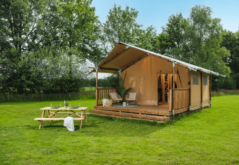Glamp tent Basic safaritent op grasveld met houten veranda, ligstoelen en picknicktafel tussen bomen.