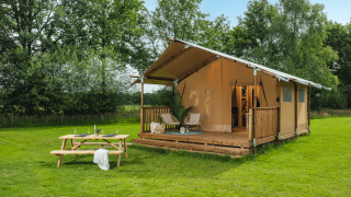 Glamp tent Basic safari-telt på grøn eng med træterrasse, stole og picnicbord, omgivet af træer.